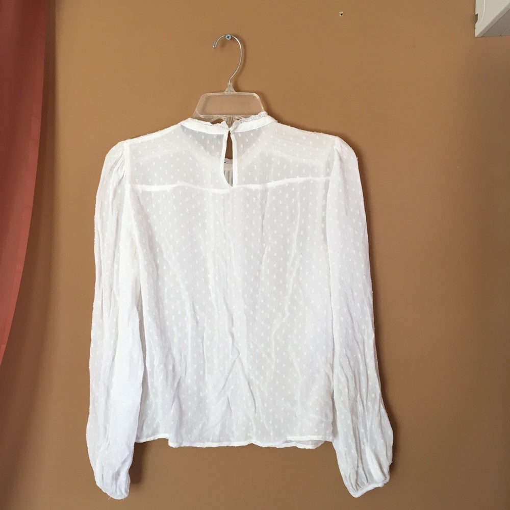Zara Basic Collection Victorian Sheer Blouses - image 7